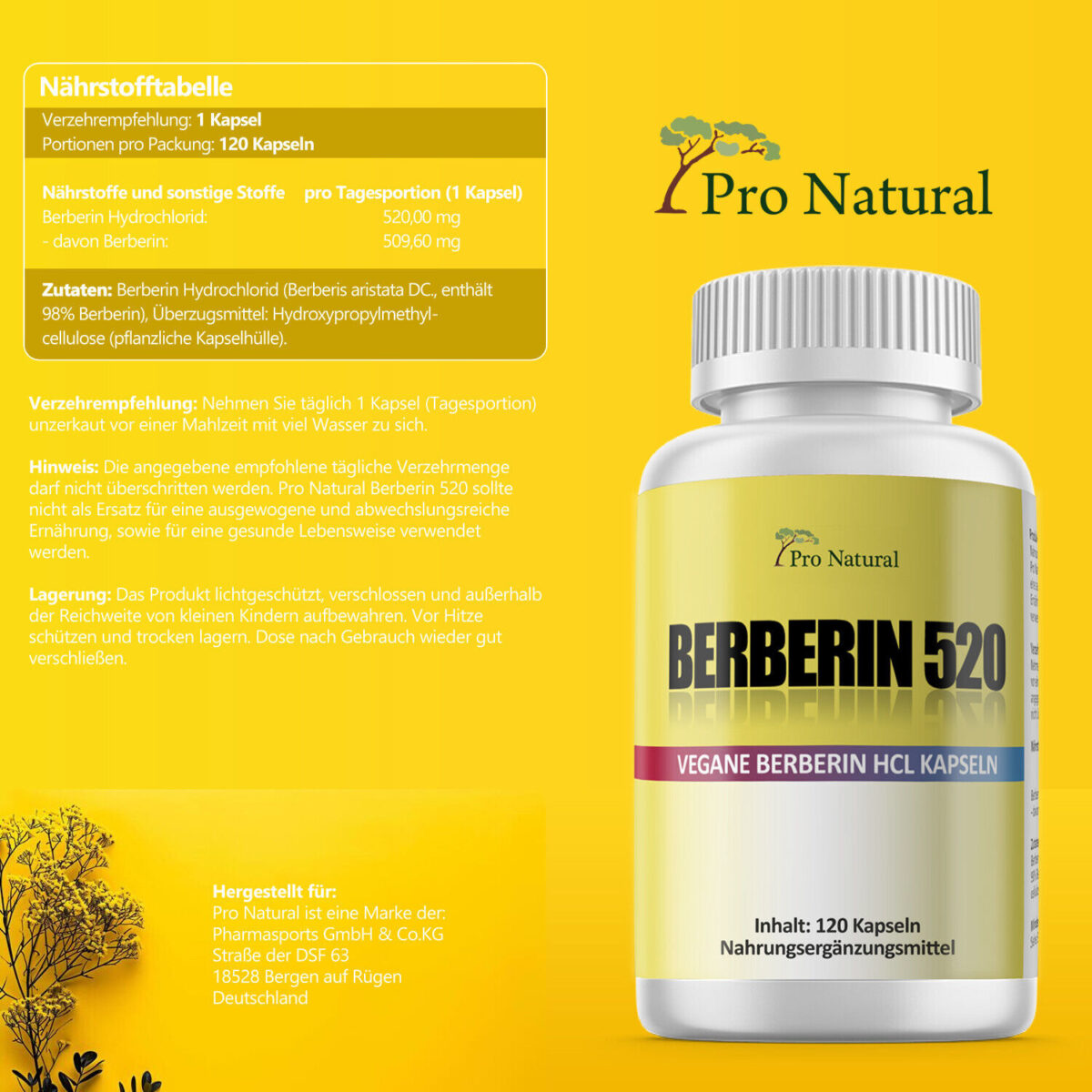 2x BERBERIN HCL = 240 Kapseln á 500mg - vegan - Extra Hochdosiert -