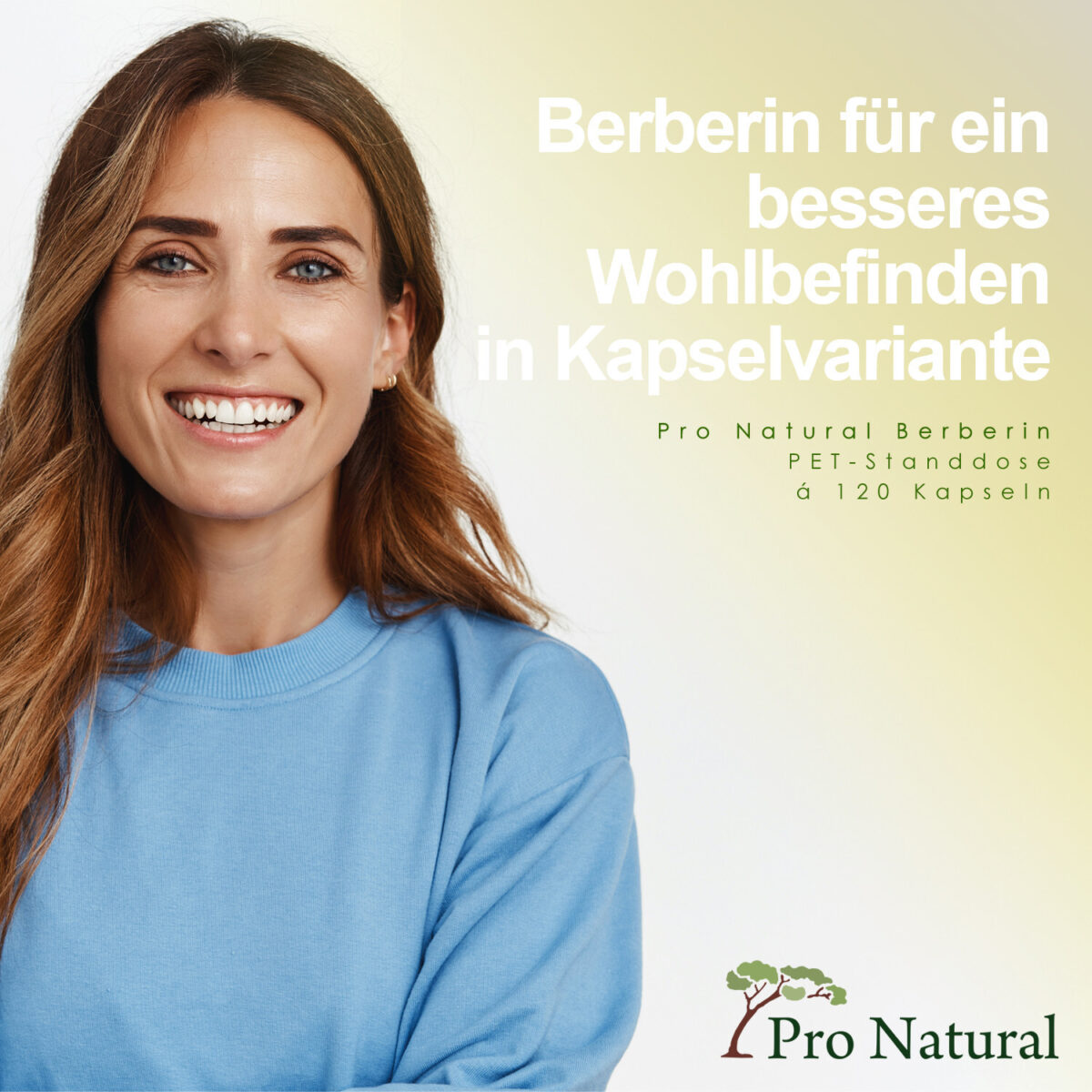 2x BERBERIN HCL = 240 Kapseln á 500mg - vegan - Extra Hochdosiert -