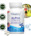 Alpha-Liponsäure 600 mg, ALA-Ergänzung mit extra starker Wirkung, 60 Kapseln