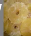 Ananas Ringe 1000g getrocknet, gezuckert Bromelain,Enzyme,Diät,Müsli 1Kg
