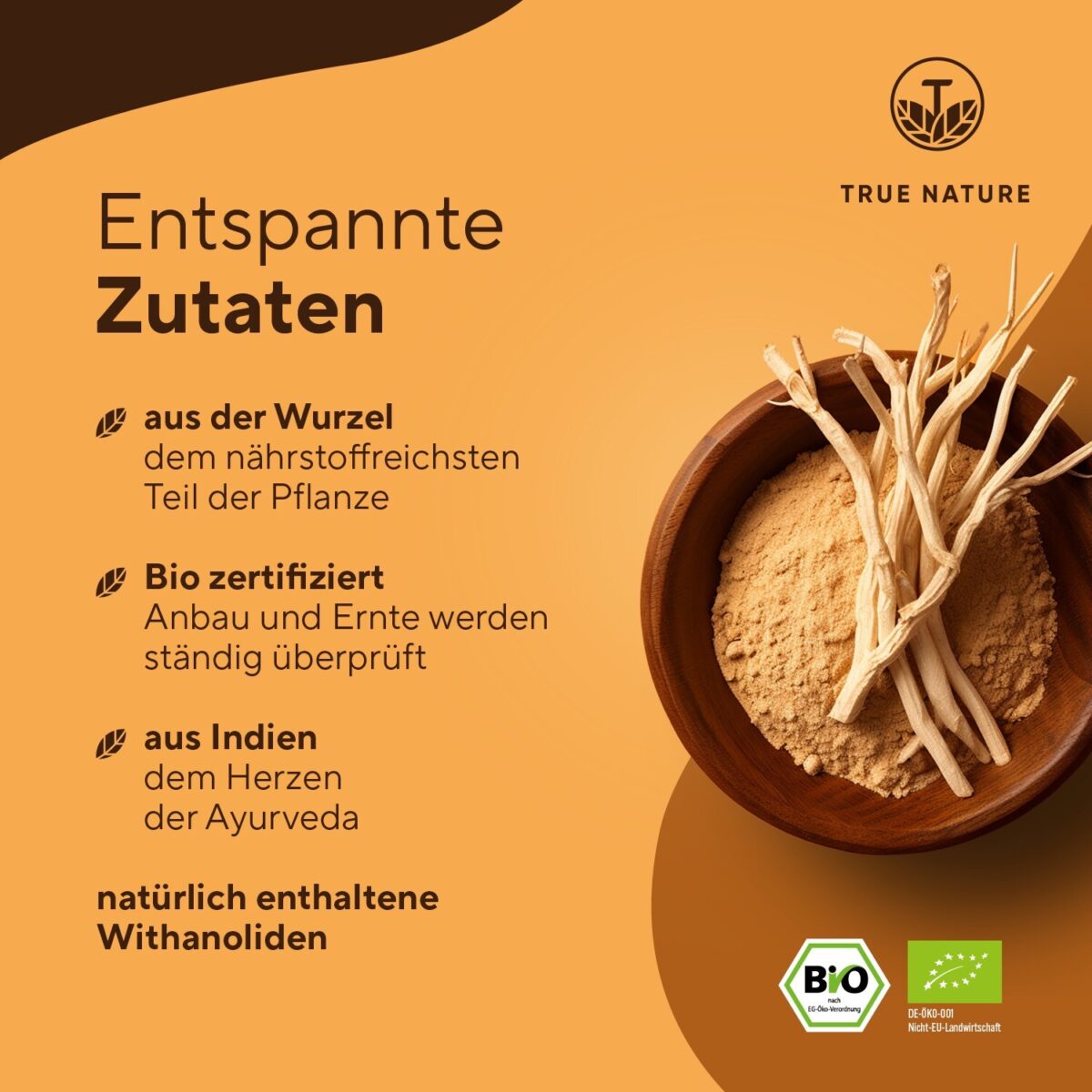Bio Ashwagandha - 360 Kapseln (BIG PACK) - Hochdosiert 2600mg/Tag - TRUE NATURE®