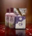 Clean 9 Ultra Schoko und Berry Nectar Reinigungsprogramm Forever