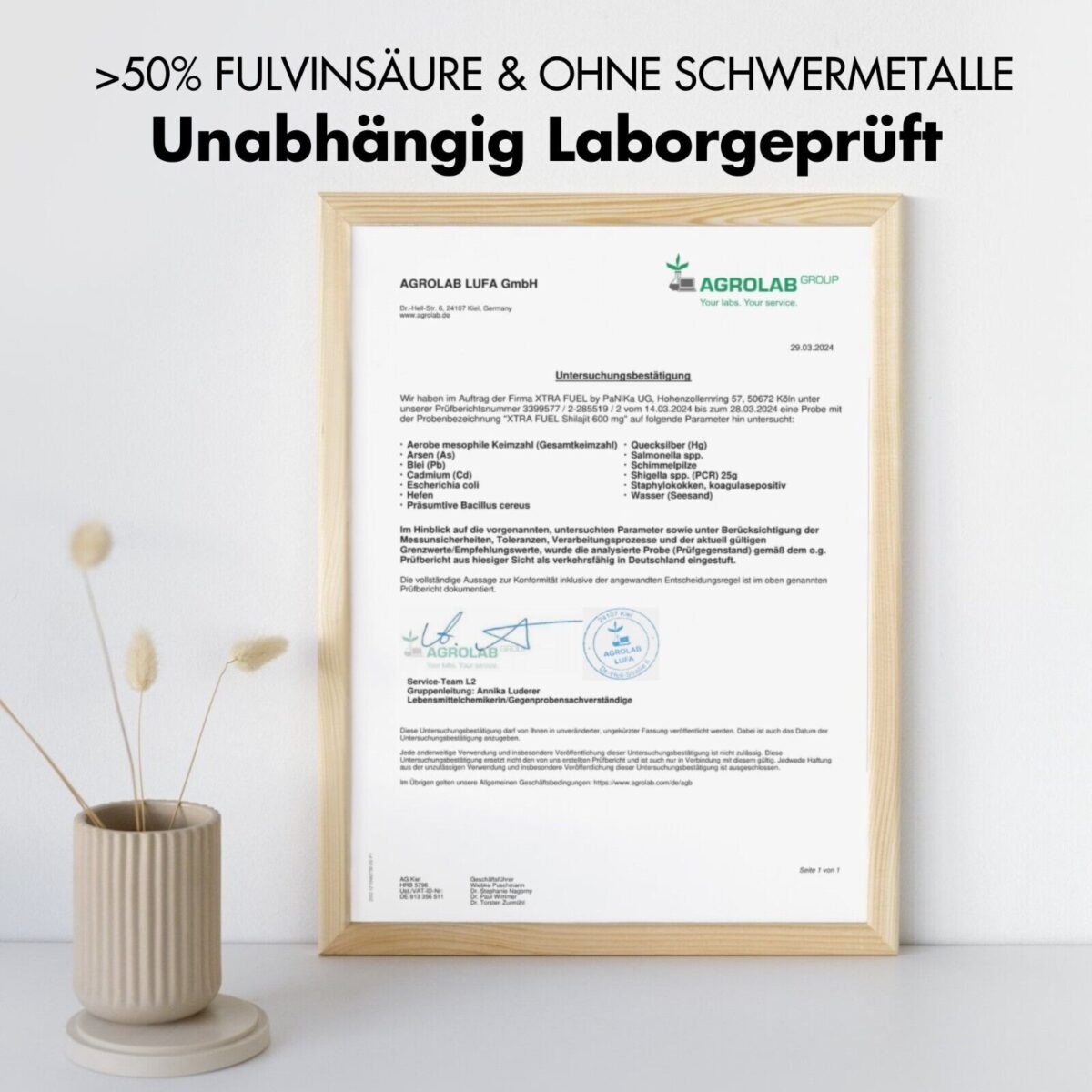 Shilajit Harz - Original Himalaya Mumijo - vegan & laborgeprüft, 85+ Mineralien