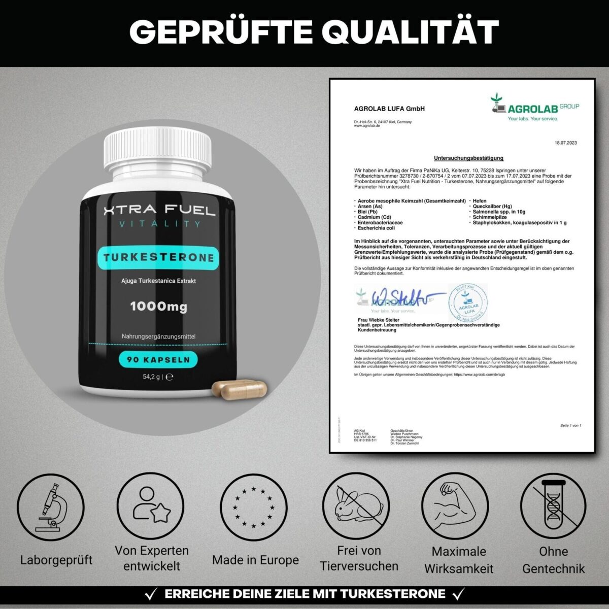 Turkesterone 1000mg | 90 Kapseln hochdosiert + geprüft | Beliebt bei Kraftsport