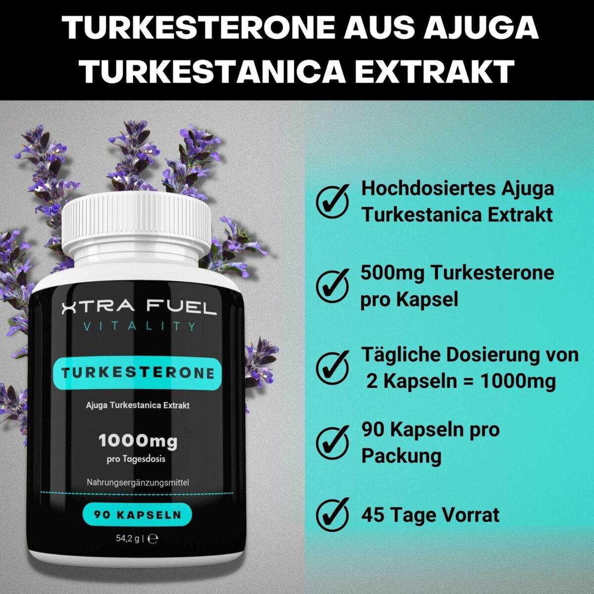 Turkesterone 1000mg | 90 Kapseln hochdosiert + geprüft | Beliebt bei Kraftsport